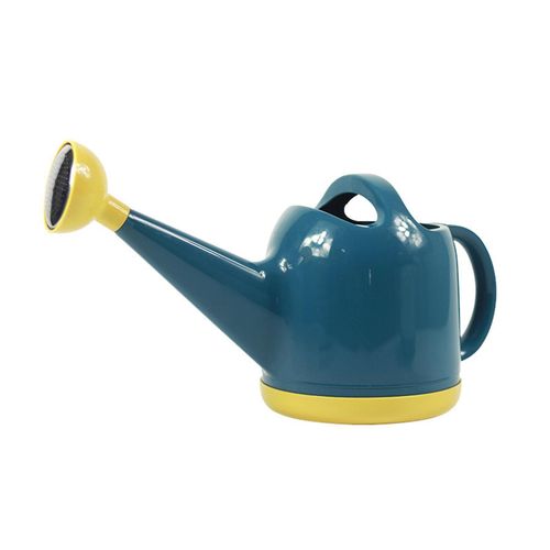 Arrosoir 4L pour jardin, fleurs, bonsaï, plantes d'intérieur et d'extérieur, bleu