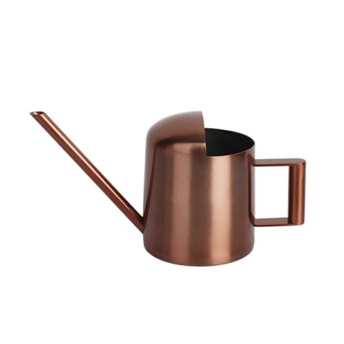 Arrosoir pour plantes d'intérieur, petit arrosoir pour plantes d'intérieur, jardin, fleurs, bec long, arrosoir pour extérieur, bronze