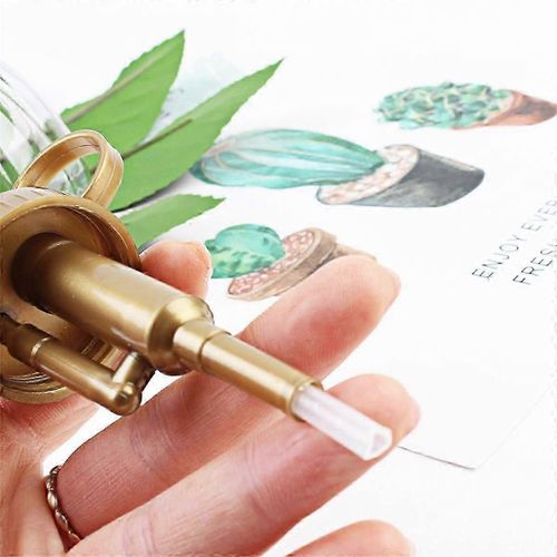 Arrosoir rétro en forme de citrouille, arroseur de fleurs, outils de jardinage pour plantes succulentes, mini arrosoir