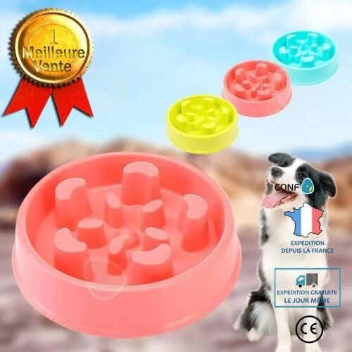 Confo Gamelle Anti Glouton Chien Chat, Gamelle Pour Chien Chat, Distributeur Nourriture Croquettes Chiens, Prévention D'obèse -