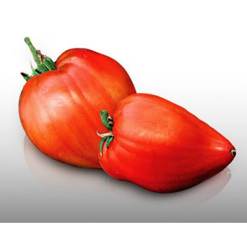 50 Graines À Semer - Le Grenier D'abondance - Tomate Coeur De Boeuf - Charnue 250 Gr Et+