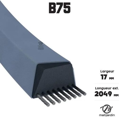 Courroie tondeuse - B75 - Trapézoïdale - 17 mm - 2049 mm