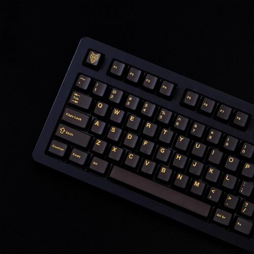 Lot de 114 touches translucides Cherry Profile Doubleshot pour claviers mécaniques Cherry MX 60 %, 65 %, 75 % Noir