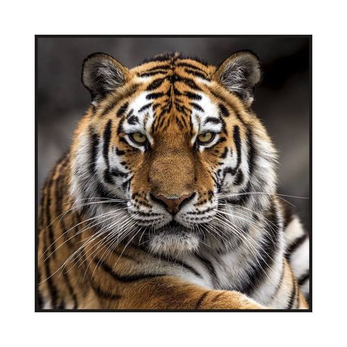 Carré Simili Cuir Imprimé 44x44 Cm Tigre