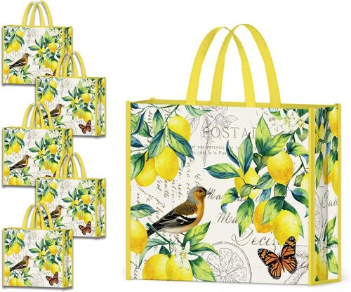 TIANYI-5 Pcs Tote Bag Reutilisable Sac Courses Cabas De Courses Lavables Grand Sac Caddie