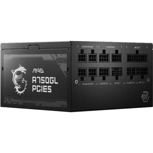 MSI MAG A750GL PCIE5 - Alimentation électrique (interne) - ATX12V 3.0/ EPS12V - 80 PLUS Gold - CA 100-240 V - 750 Watt - PFC active