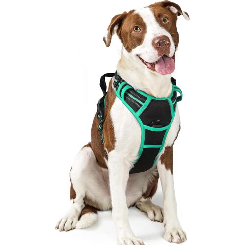 Harnais Chien Anti Traction, Arnet Pour Chiens Avec Poignée Contrôl, Facile À Mettre, Gilet Réfléchissant Réglable Avec Attache Devant, Harnais Pour Chien Grand Moyen, Noir Et Mente Verte L