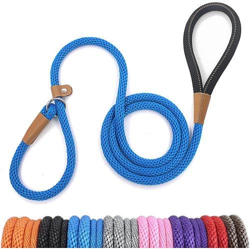 Teppc-Laisse Chien Corde 0.9cm X 180cm Laisse Pour Chien En Nylon Avec Poignée Rembourrée Réfléchissant Laisse Coulissante Aux Chiot, Petits, Moyens Et Gros Chiens Bleu