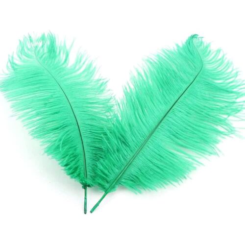 Lot de 50 plumes d'autruche naturelles de 20 à 25 cm-Pour travaux manuels, décoration de maison,costumes,décoration de table,mariage,fête,chapeau,vêtements-Vert gazon
