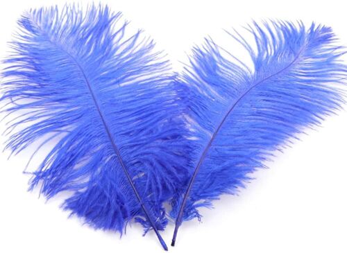 Lot de 50 Plumes d'autruche Naturelles de 20 à 25 cm-pour travaux manuels,décoration de la Maison,Costumes,décoration de Table,Mariage,fête,Chapeau,vêtements,décoration-Bleu Roi