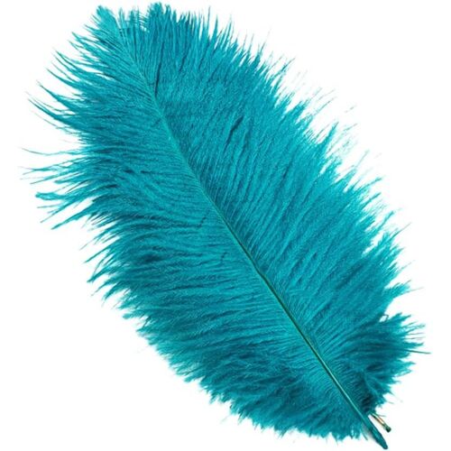 Lot 10 Plumes D'autruche Naturelles 25 À 30 Cm Plumes Pour Loisirs Créatifs Pour Attrape-Rêves Accessoire Décoration D'intérieur Costume Fête Mariage Décoration Fête Chapeau Bleu Paon