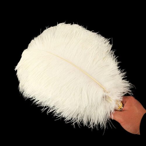 Lot De 10 Plumes D'autruche Naturelles De 30 À 35 Cm Plumes Pour Loisirs Créatifs Accessoires D'attrape-Rêves Décoration De La Maison Costume Décoration De Table De Mariage Fête De Chapeau Beige