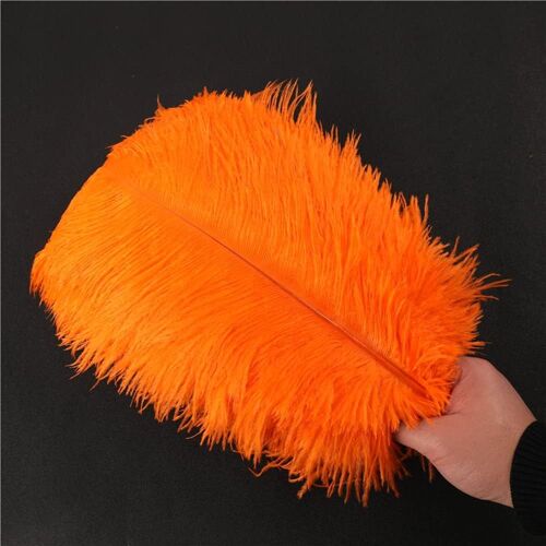 Lot 10 Plumes d'autruche Naturelles 35 à 40cm Plumes pour Loisirs créatifs Accessoires d'attrape-rêves Décoration la Maison Costume Décoration Table Mariage Fête Chapeaux Décoration vêtements Orange