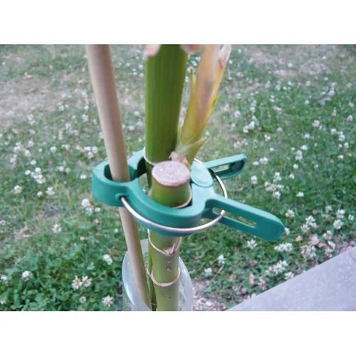 Clip épingle - Standard - Vert - Pack de 6 pièces