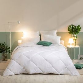 Pack Couette Chaude 140x200cm + 1 Oreiller Moelleux Lavables À 95°C