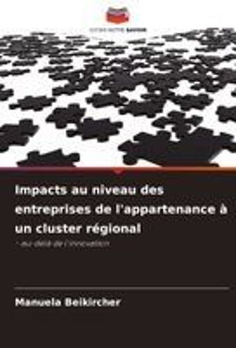 Impacts Au Niveau Des Entreprises De L'appartenance À Un Cluster Régional