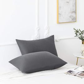 Kjakl-18 Couleurs Lot 2 Taie D'oreiller 30x50 Cm Gris Housse Oreiller Coussin Pour Canapé Lit Fermeture Éclair Anti-Acariens Hypoallergénique Protège Oreiller Zip Microfibre