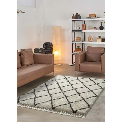 Tapis Shaggy Uni Blanc 120x170 Cm