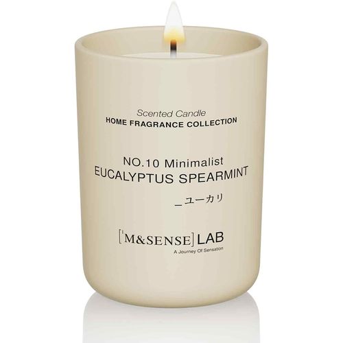 Bougie Naturelle à la Cire de Soja |Eucalyptus Mint|250g|Bougie Parfumée Minimaliste pour Détente,Cadeaux,Décoration Intérieure|Chambre,Bureau,Petites Fêtes