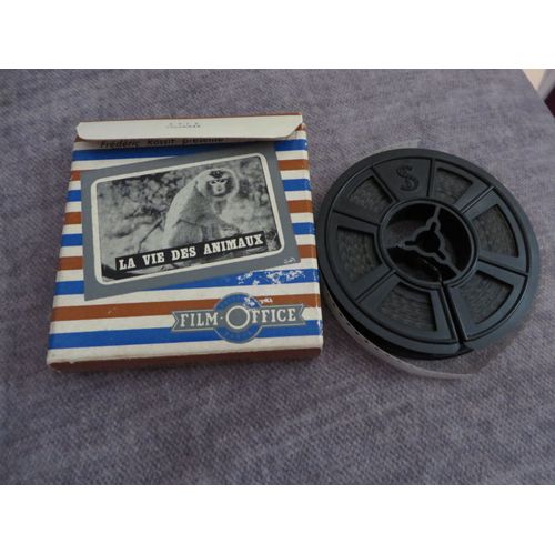 Film 8mm : La Vie Des Animaux (Jeux De Singes)