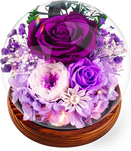 Rose Eternelle Cadeau Noel Femme Fleur Éternelle - Rose sous Cloche,Naturelle Fleur avec Lumière LED Pine Base et Carte de Voeux, Copine et Maman Mamie - Fête des Mères Anniversaire, Violet
