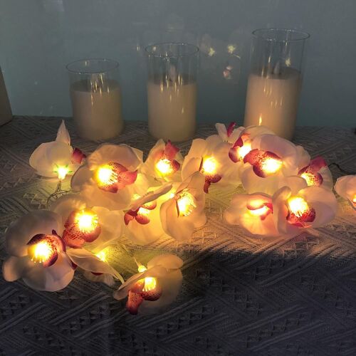 KAL-Artificielles Phalaenopsis Fleurs Guirlande 9.8Ft 20 Led Orchidée Guirlandes Lumineuses Lumières Suspendues Blanches Chaudes Pour Fête Mariage Maison Décoration (Phalaenopsis, Usb)