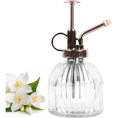 Arrosoir en verre 230 ml, arrosoir pour plantes, dos