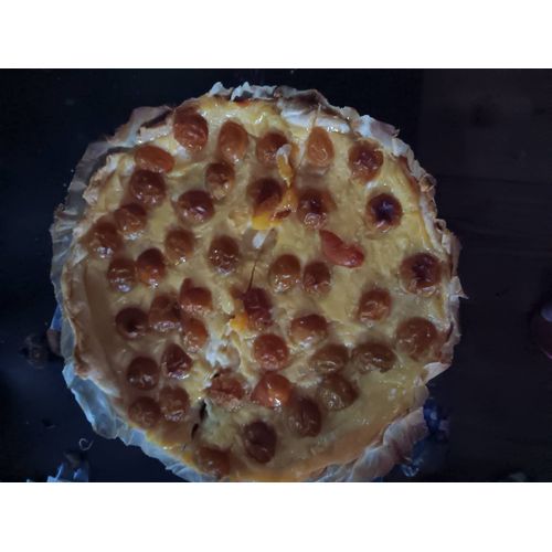 Photo De Ma Tarte À La Mirabellier De 2025