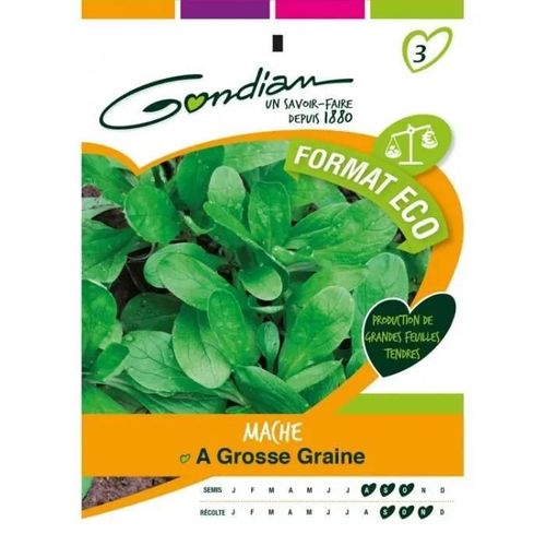 Gondian - Mache A Grosse Graine