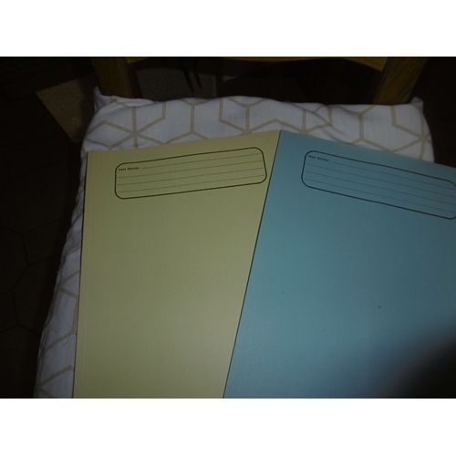 Sous Dossiers 2 Rabats Couleurs Différentes Lot De 40 Cheval Ordex 40900