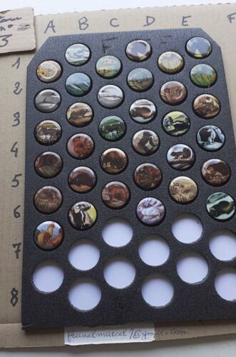 Capsules De Bière Américaine.