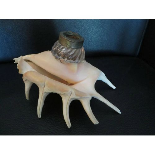 Ancien Encrier Sur Coquillage/N18