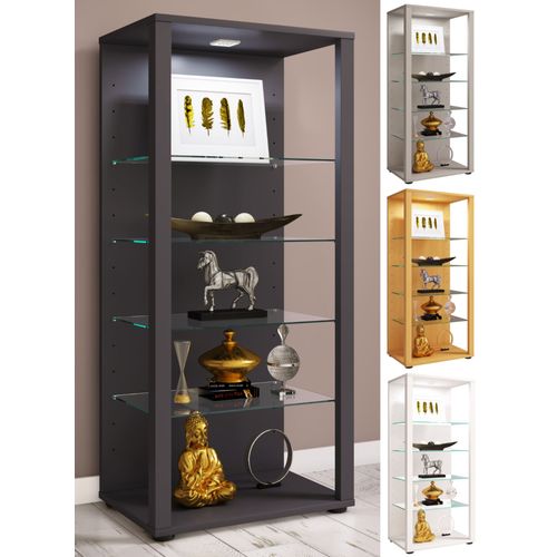 Vcm Bois Verre Vitrine De Collection Vitrine De Verre Vitrine De Stand Vitrine Glasol Lll Bois Verre Vitrine De Collection Vitrine De Verre Vitrine De Stand Vitrine Glasol Lll