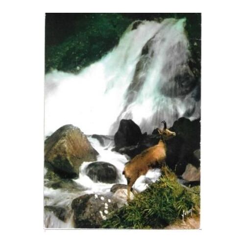 Isard À La Cascade