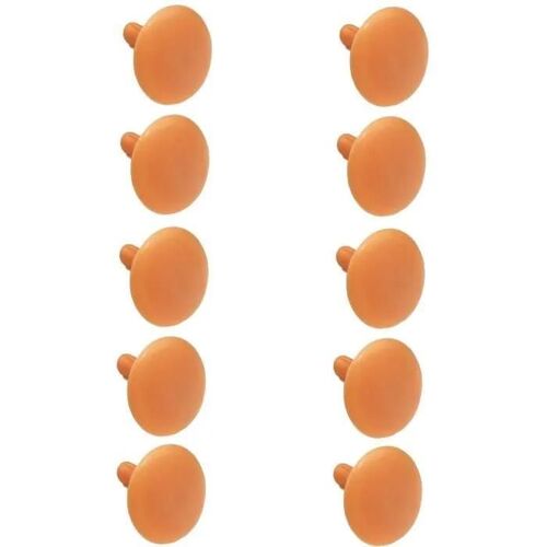 Cache vis - PIN - SW4 - Marron - Plastique - Lot de 10 pièces
