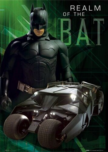Affiche - Batman - Realm - Taille : 61x91,5cm