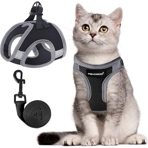 Asfasfq-Harnais Chat Reglable, Harnais Pour Chat De Laisse Anti Évasion Harnais Léger Pour Chaton, Harnais Et Laisses Pour Chat Respirante Facile À Contrôler Avec Bandes Réfléchissantes (M (Lot De 1)
