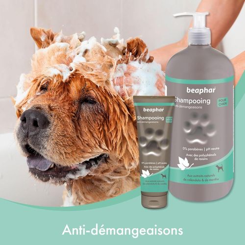 \U2013 Shampoing Premium Anti-Démangeaisons Pour Chien \U2013 Extraits Naturels De Calendula, De Menthe Et Polyphénols De Raisin \U2013 Apaise Démangeaisons Et Irritations\U2013 Ph Neutre Et Sans Pa