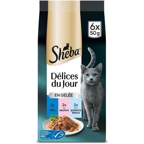 Asfasfq-Délices Du Jour En Gelée Poisson Pour Chat 6 X 50 G - Lot De 12