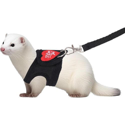 Asfasfq-Ensemble Harnais Et Laisse Pour Furet, Laisse Ajustable Imprimé Léopard Harnais Souple Pour Petits Animaux Furets Cochons D'inde Lapins Hamsters Et Chatons (Noir)