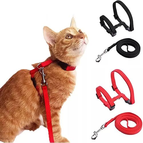 Asfasfq-Gilets Pour Chat Avec Laisse,Harnais Réglable,L'évasion Corde De Sécurité Pour Chat Et Chatons