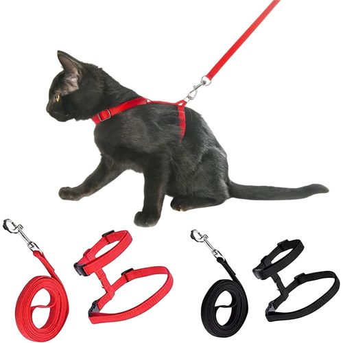 Asfasfq-Gilets Pour Chat Avec Laisse,Harnais Chat Réglable Harnais Laisse Harnais Chat Harnais Chaton Laisse Harnais Chat L'évasion Corde De Sécurité Pour Chat Et Chatons