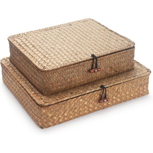 Ersan-Paniers Pour Étagères Rectangulaires Avec Couvercle Rotin Panier De Rangement En Jonc De Mer 2 Pièces (Nature Grand + Petit)