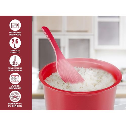 SUBZONAL-C106CAS001 Cuiseur à riz pour micro-ondes,Microwave Rice Cooker,2.6L, céréales, légumineuses, couscous, sans BPA