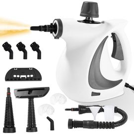 Nettoyeurs à Vapeur Portatifs, Nettoyeur Vapeur Multifonction Avec 4