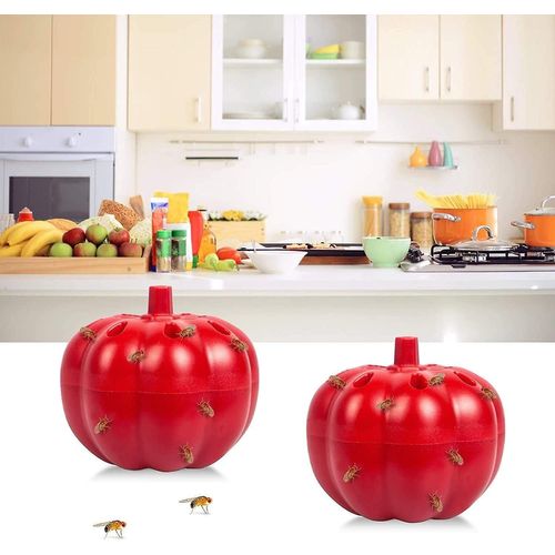 Lot de 2 pièges à moucherons d'intérieur ¿ Attrape-mouches efficace avec un design citrouille attrayant pour la cuisine et la maison