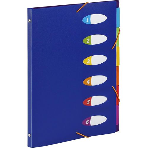 Ershi-Viquel Trieur Happy Fluo Pp 5/10e 6 Touchesformat A4. Coloris Bleu[2679]