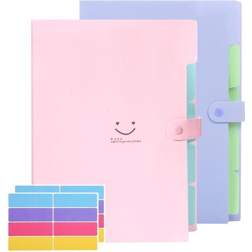 Lot De 2 Porte-Documents A4 Avec 5 Compartiments, Porte-Documents A4 Avec Étiquettes Et 2 Feuilles D'étiquettes Adhésives, Portable, Pour L'école, La Maison, Les Fournitures De Bureau