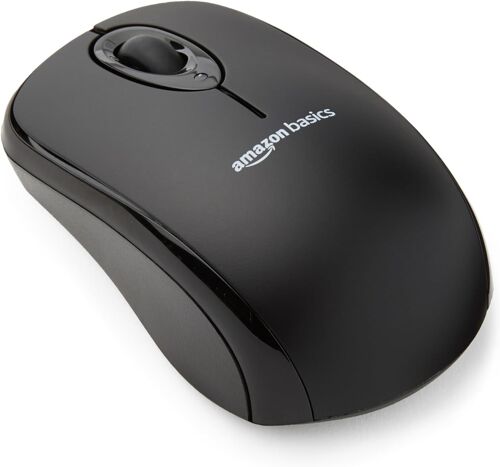 Souris d'ordinateur sans fil avec nano-récepteur USB - noir