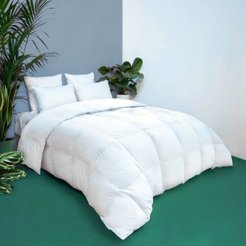 Couette Tempérée Toucher Duvet - Coton 240x260 Cm